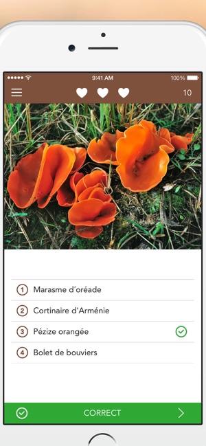 Application champignon pour iphone