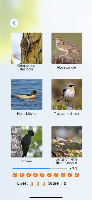 Application iphone pour reconnaitre les oiseaux