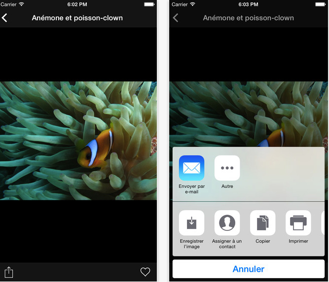 Quel application pour iphone
