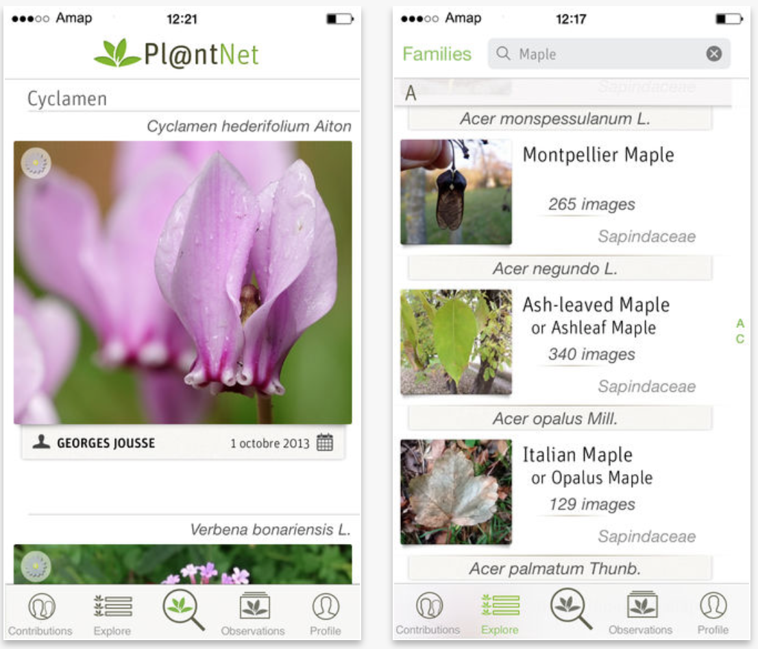 Pl@ntnet application iphone