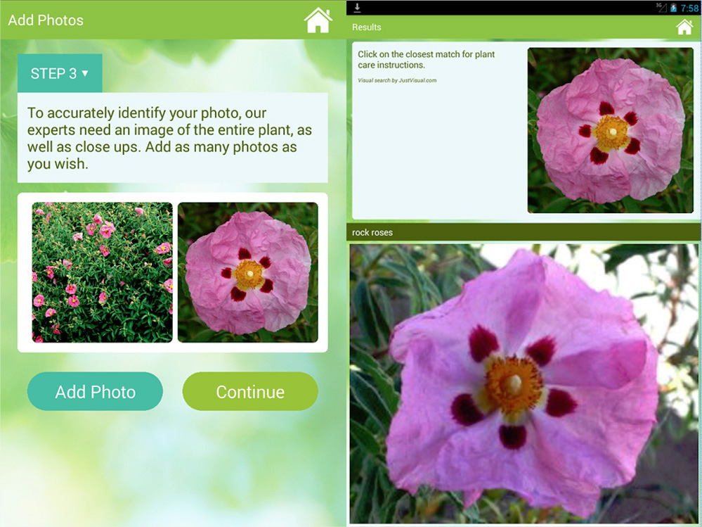 Application reconnaissance plantes iphone